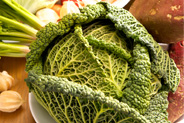 キャベツ