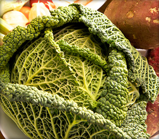 キャベツ